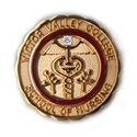 Picture of B.) Pin - Victor Valley RN with Diamond